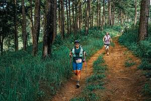 BIB: 
                            <button type="button" onclick="openModal(25745177)" class="btn btn-primary btn-sm float-right btn-popup" data-toggle="modal" data-target=".modal-high-quality">
                        <i class="fas fa-shopping-cart"></i> Add to Cart
                    </button>
                                            <button type="button" onclick="isThisMe(25745177, true)" class="btn btn-success btn-sm float-right btn-popup btn-isme hidden" data-toggle="tooltip" data-placement="bottom" title="นี่คือรูปของคุณใช่ไหม คลิกที่นี่เพื่อเอาเข้าอัลบั้ม">
                        <i class="fas fa-plus"></i> Add to album
                    </button>
                    <button type="button" onclick="isThisMe(25745177, false)" class="btn btn-warning btn-sm float-right btn-popup btn-isnotme hidden">
                        <i class="fas fa-ban"></i> Remove from album
                    </button>